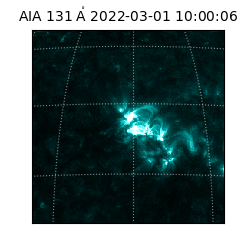 saia - 2022-03-01T10:00:06.622000
