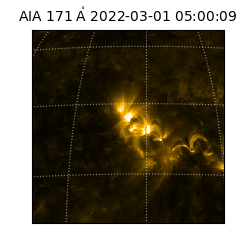 saia - 2022-03-01T05:00:09.350000
