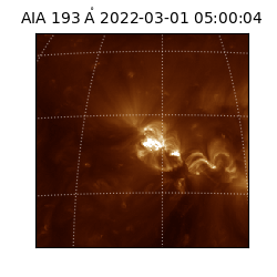 saia - 2022-03-01T05:00:04.847000