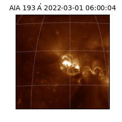 saia - 2022-03-01T06:00:04.843000