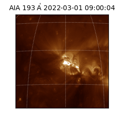 saia - 2022-03-01T09:00:04.843000