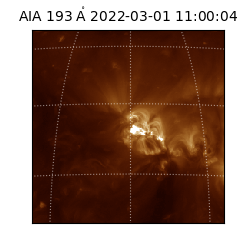 saia - 2022-03-01T11:00:04.843000