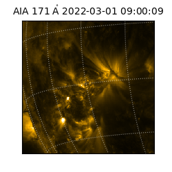 saia - 2022-03-01T09:00:09.350000