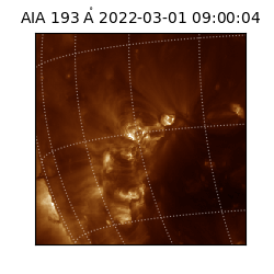 saia - 2022-03-01T09:00:04.843000