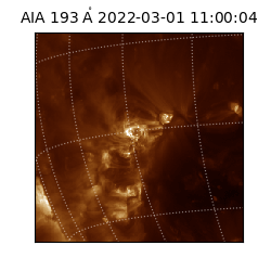 saia - 2022-03-01T11:00:04.843000