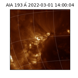 saia - 2022-03-01T14:00:04.843000