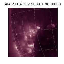 saia - 2022-03-01T00:00:09.630000