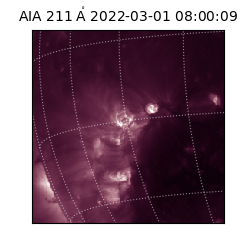 saia - 2022-03-01T08:00:09.630000