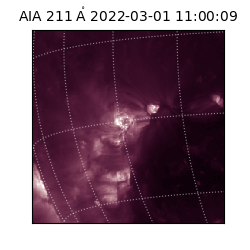 saia - 2022-03-01T11:00:09.633000