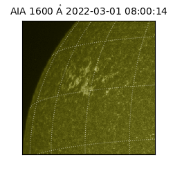 saia - 2022-03-01T08:00:14.126000