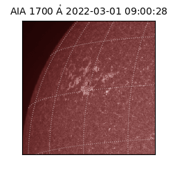 saia - 2022-03-01T09:00:28.745000