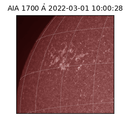 saia - 2022-03-01T10:00:28.746000
