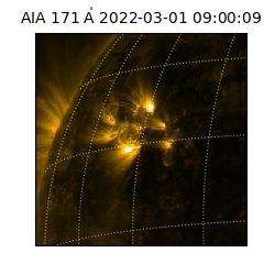 saia - 2022-03-01T09:00:09.350000