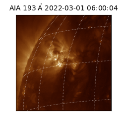 saia - 2022-03-01T06:00:04.843000