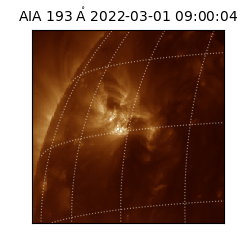 saia - 2022-03-01T09:00:04.843000
