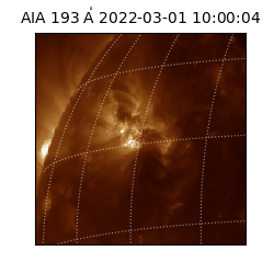 saia - 2022-03-01T10:00:04.843000