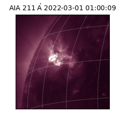saia - 2022-03-01T01:00:09.632000