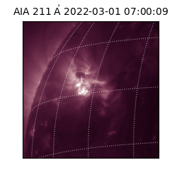 saia - 2022-03-01T07:00:09.622000