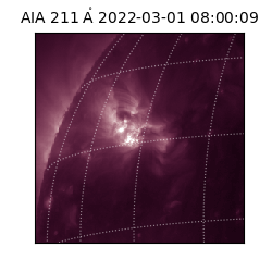 saia - 2022-03-01T08:00:09.630000