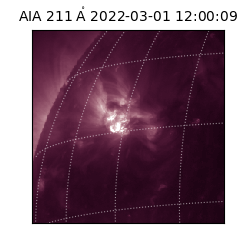 saia - 2022-03-01T12:00:09.639000