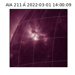 saia - 2022-03-01T14:00:09.626000