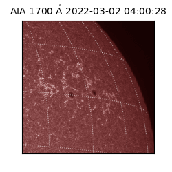 saia - 2022-03-02T04:00:28.745000
