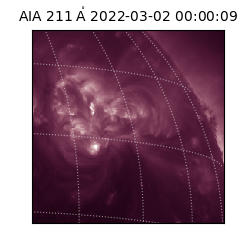 saia - 2022-03-02T00:00:09.626000