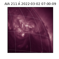 saia - 2022-03-02T07:00:09.626000