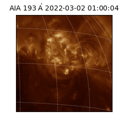 saia - 2022-03-02T01:00:04.843000