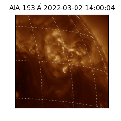 saia - 2022-03-02T14:00:04.843000