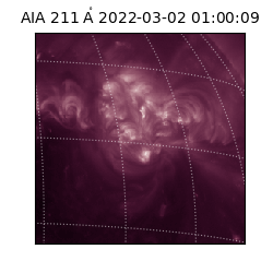 saia - 2022-03-02T01:00:09.626000