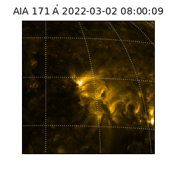 saia - 2022-03-02T08:00:09.353000