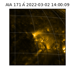 saia - 2022-03-02T14:00:09.353000