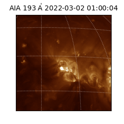 saia - 2022-03-02T01:00:04.843000
