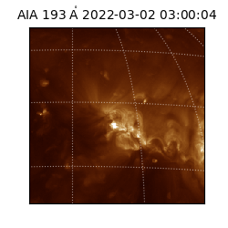 saia - 2022-03-02T03:00:04.835000