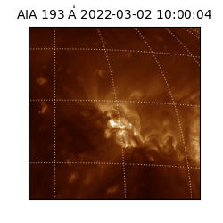 saia - 2022-03-02T10:00:04.843000