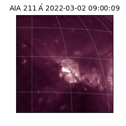 saia - 2022-03-02T09:00:09.626000