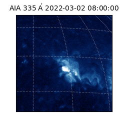 saia - 2022-03-02T08:00:00.618000
