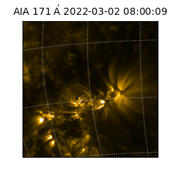 saia - 2022-03-02T08:00:09.353000