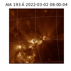 saia - 2022-03-02T08:00:04.843000