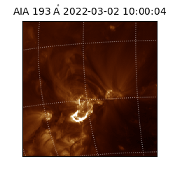 saia - 2022-03-02T10:00:04.843000