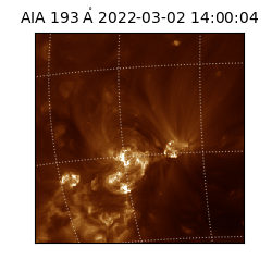 saia - 2022-03-02T14:00:04.843000
