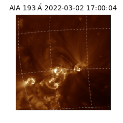 saia - 2022-03-02T17:00:04.843000