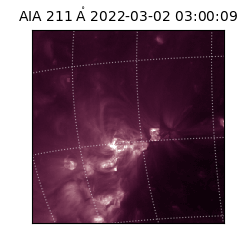 saia - 2022-03-02T03:00:09.618000