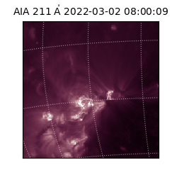saia - 2022-03-02T08:00:09.633000