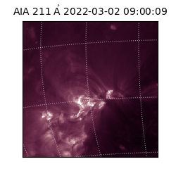 saia - 2022-03-02T09:00:09.626000