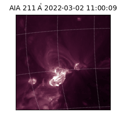 saia - 2022-03-02T11:00:09.632000