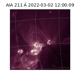 saia - 2022-03-02T12:00:09.629000