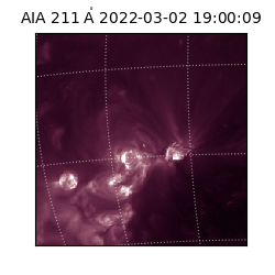 saia - 2022-03-02T19:00:09.618000
