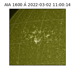 saia - 2022-03-02T11:00:14.126000
